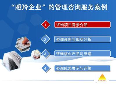 瞪羚企業咨詢案例解析 2014年企業管理優化實踐